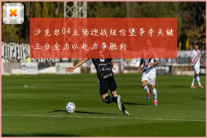 沙克尔04主场迎战纽伦堡争夺关键三分全力以赴力争胜利